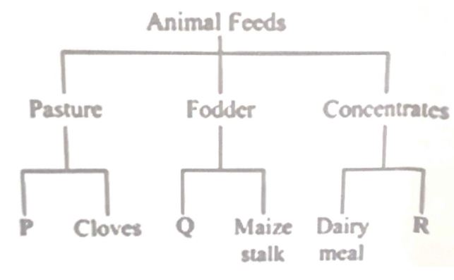 The chart below shows a simple classification of animal feeds. The feeds  labelled P,Q and R can be - Tutorke