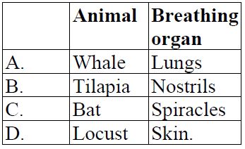 Which one of the following animals is CORRECTLY MATCHED with its breathing  organ? - Tutorke